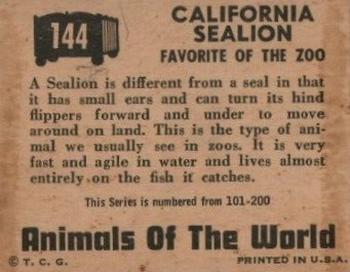1951 Topps Animals of the World (R714-1) #144 California Sea Lion Back