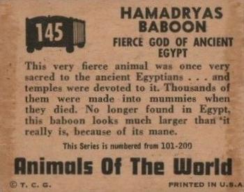 1951 Topps Animals of the World (R714-1) #145 Hamadryas Baboon Back