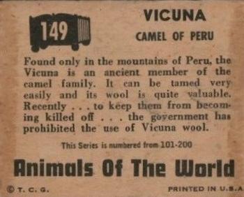 1951 Topps Animals of the World (R714-1) #149 Vicuna Back