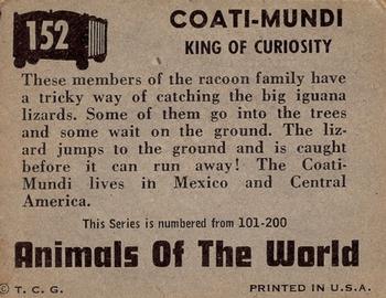 1951 Topps Animals of the World (R714-1) #152 Coati-Mundi Back