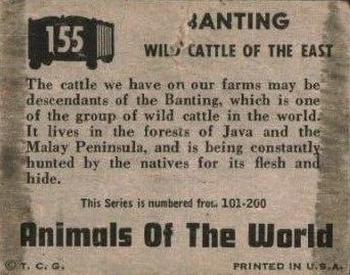 1951 Topps Animals of the World (R714-1) #155 Banting Back