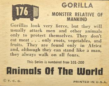 1951 Topps Animals of the World (R714-1) #176 Gorilla Back