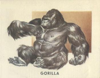1951 Topps Animals of the World (R714-1) #176 Gorilla Front