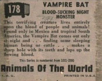 1951 Topps Animals of the World (R714-1) #178 Vampire Bat Back