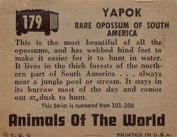 1951 Topps Animals of the World (R714-1) #179 Yapok Back
