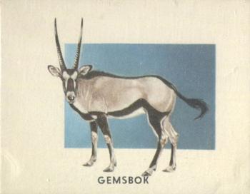 1951 Topps Animals of the World (R714-1) #181 Gemsbok Front