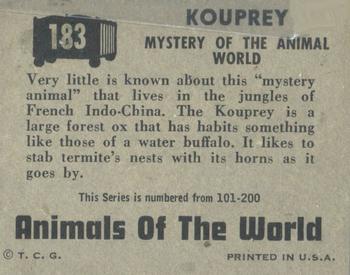 1951 Topps Animals of the World (R714-1) #183 Kouprey Back