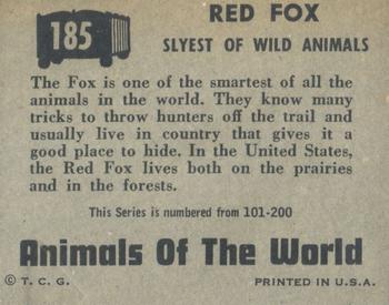 1951 Topps Animals of the World (R714-1) #185 Red Fox Back