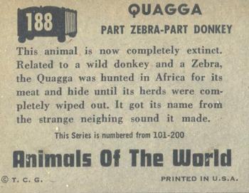 1951 Topps Animals of the World (R714-1) #188 Quagga Back
