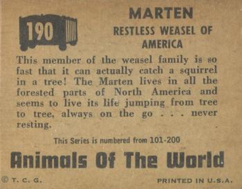 1951 Topps Animals of the World (R714-1) #190 Marten Back