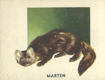 1951 Topps Animals of the World (R714-1) #190 Marten Front