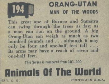 1951 Topps Animals of the World (R714-1) #194 Orang-utan Back
