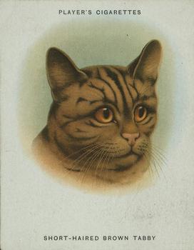 1936 Player's Cats #5 Short-Haired Brown Tabby Front