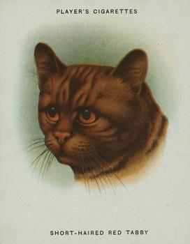 1936 Player's Cats #7 Short Haired Red Tabby Front