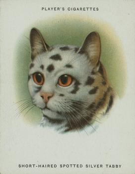 1936 Player's Cats #8 Short-Haired Spotted Silver Tabby Front