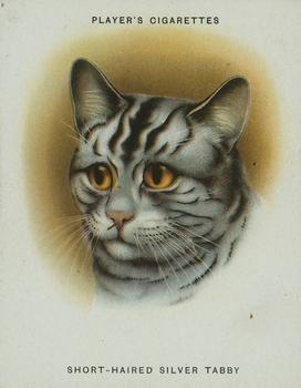 1936 Player's Cats #9 Short-Haired Silver Tabby Front