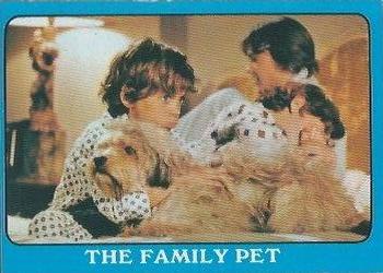 1971 Topps The Partridge Family Series 2 #26A The Family Pet Front