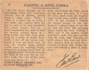 1938 Gumakers of America Frank Buck  (R55) #6 Caging a King Cobra Back