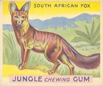 1933 Jungle Chewing Gum (R78) #3 South African Fox Front