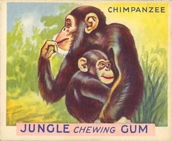 1933 Jungle Chewing Gum (R78) #4 Chimpanzee Front