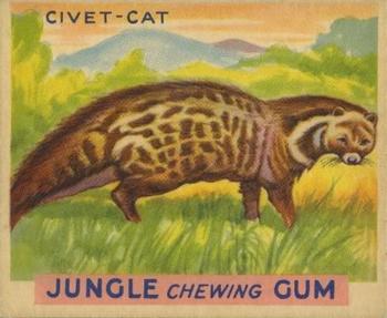 1933 Jungle Chewing Gum (R78) #7 Civet-Cat Front