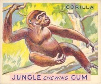 1933 Jungle Chewing Gum (R78) #8 Gorilla Front