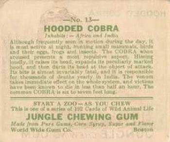 1933 Jungle Chewing Gum (R78) #13 Hooded Cobra Back