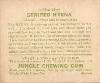 1933 Jungle Chewing Gum (R78) #21 Striped Hyena Back