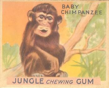 1933 Jungle Chewing Gum (R78) #27 Baby Chimpanzee Front