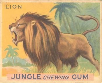 1933 Jungle Chewing Gum (R78) #31 Lion Front