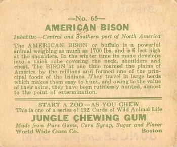 1933 Jungle Chewing Gum (R78) #65 Bison Back