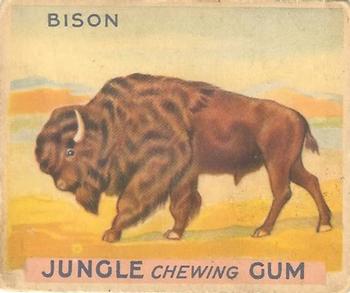 1933 Jungle Chewing Gum (R78) #65 Bison Front
