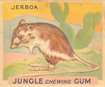 1933 Jungle Chewing Gum (R78) #67 Jerboa Front