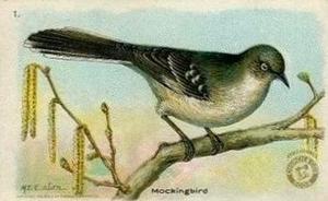 1918 Church & Dwight Useful Birds of America Second Series (J6) #1a Northern Mockingbird Front