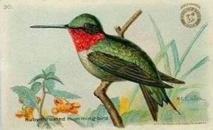 1918 Church & Dwight Useful Birds of America Second Series (J6) #30 Ruby-throated Hummingbird Front