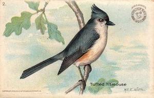 1918 Church & Dwight Useful Birds of America Second Series (J6) #2 Tufted Titmouse Front