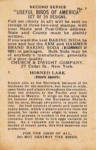 1918 Church & Dwight Useful Birds of America Second Series (J6) #7b Horned Lark Back