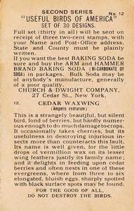 1918 Church & Dwight Useful Birds of America Second Series (J6) #12b Cedar Waxwing Back
