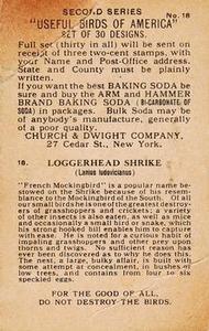 1918 Church & Dwight Useful Birds of America Second Series (J6) #18 Loggerhead Shrike Back