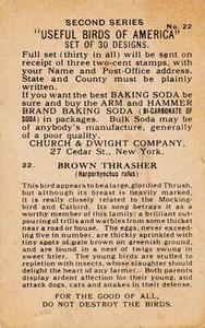 1918 Church & Dwight Useful Birds of America Second Series (J6) #22b Brown Thrasher Back