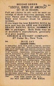 1918 Church & Dwight Useful Birds of America Second Series (J6) #24b Blue Jay Back