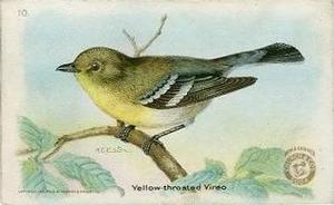 1918 Church & Dwight Useful Birds of America Second Series (J6) #10 Yellow-throated Vireo Front