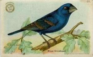 1918 Church & Dwight Useful Birds of America Second Series (J6) #25 Blue Grosbeak Front