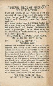 1918 Church & Dwight Useful Birds of America Second Series (J6) #29 Snow Bunting Back