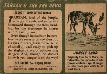 1953 Topps Tarzan & the She Devil (R714-21) #1 Lord of the Jungle Back