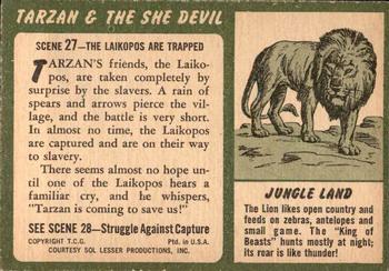 1953 Topps Tarzan & the She Devil (R714-21) #27 The Laikopos Are Trapped Back