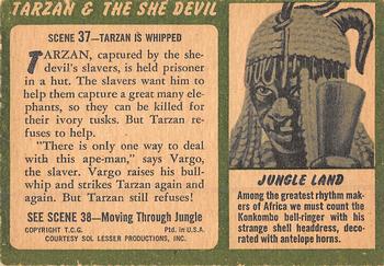 1953 Topps Tarzan & the She Devil (R714-21) #37 Tarzan Is Whipped Back