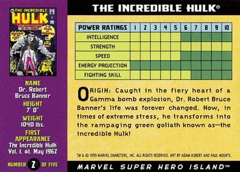 1999 Marvel Super Hero Island #2 Hulk Back