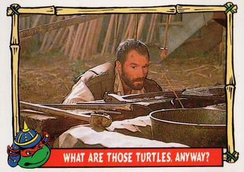 1992 Topps Teenage Mutant Ninja Turtles III #42 What Are Those Turtles, Anyway? Front