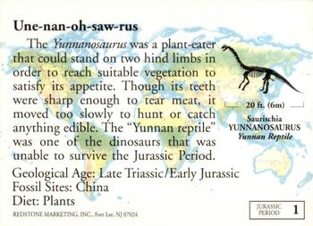 1993 Redstone Dinosaurs Mesozoic Era #1 Yunnanosaurus Back